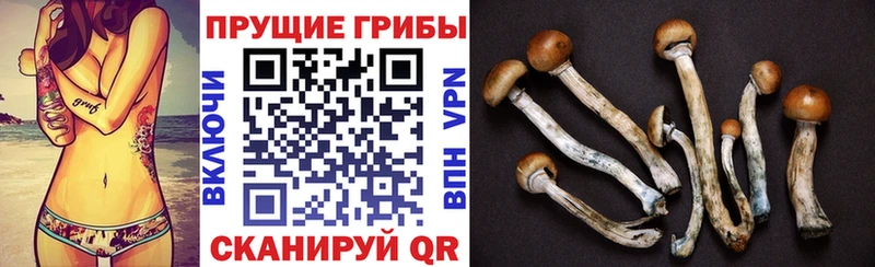 Псилоцибиновые грибы мухоморы  это наркотические препараты  Мытищи 